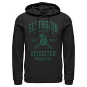 Men's Harry Potter Slytherin Quidditch Team Seeker  Adult Pull Over Hoodie