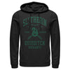 Men's Harry Potter Slytherin Quidditch Team Seeker  Adult Pull Over Hoodie