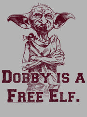 Men's Harry Potter Dobby is a Free Elf  Adult Pull Over Hoodie