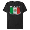 Men's Lost Gods Distressed Mexican Flag  Adult T-Shirt