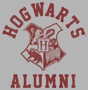 Men's Harry Potter Hogwarts Alumni  Adult Pull Over Hoodie