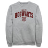 Men's Harry Potter Back to Hogwarts Collegiate  Adult Sweatshirt