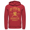 Men's Harry Potter Gryffindor Quidditch Gold Team Seeker  Adult Pull Over Hoodie