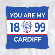 Cardiff City FC 18" Cushion